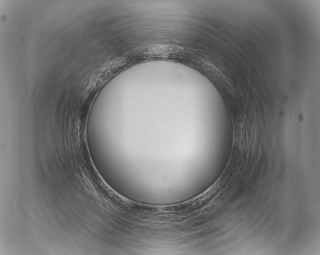 X0000054450504200507290955