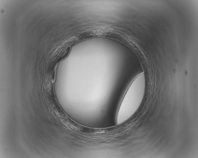 X0000054450505200507290955