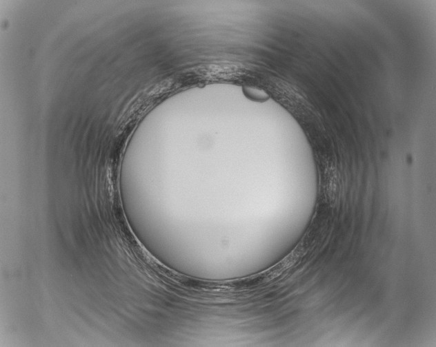 X0000054450506200507290955