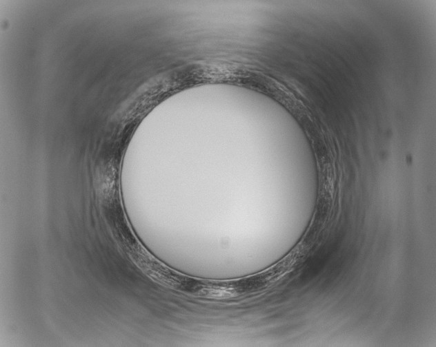 X0000054450507200507290955