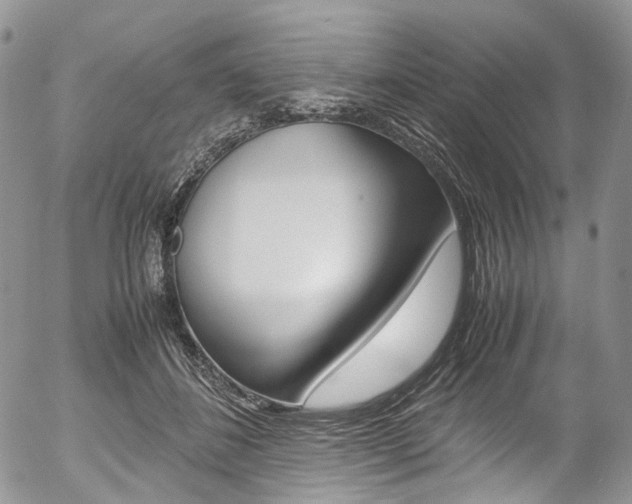 X0000054450508200507290955