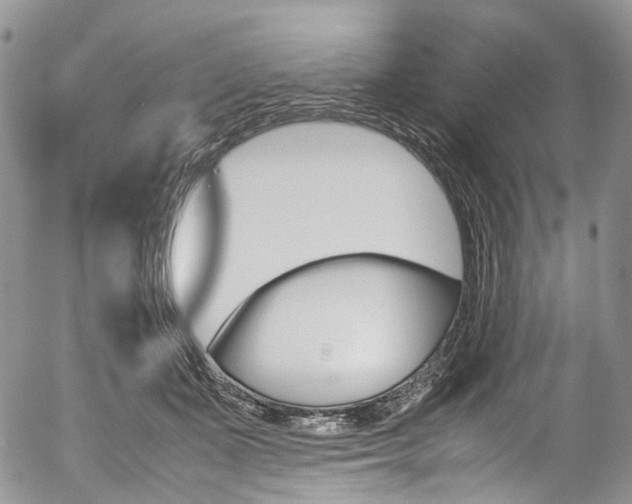 X0000054450511200507290955