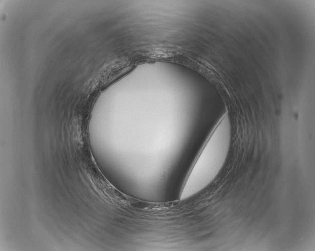 X0000054450512200507290955