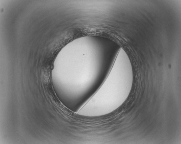 X0000054450515200507290955