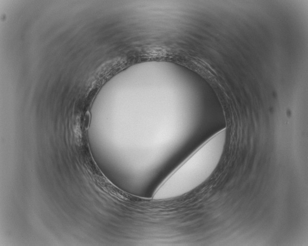 X0000054450516200507290955