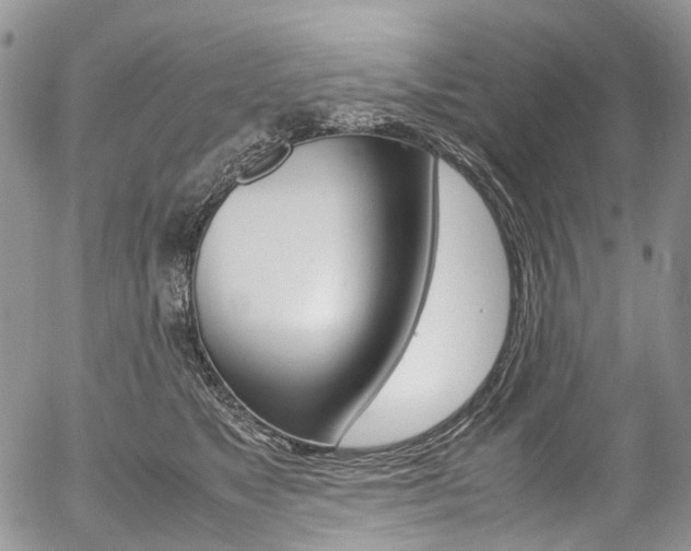 X0000054450517200507290955