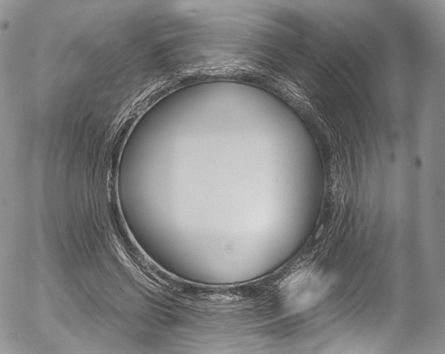X0000054450542200507290954