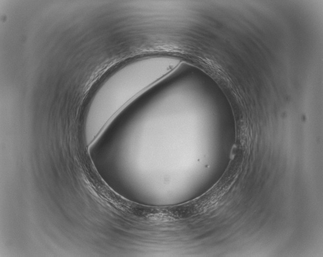 X0000054450544200507290954