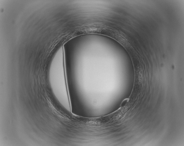 X0000054450546200507290954