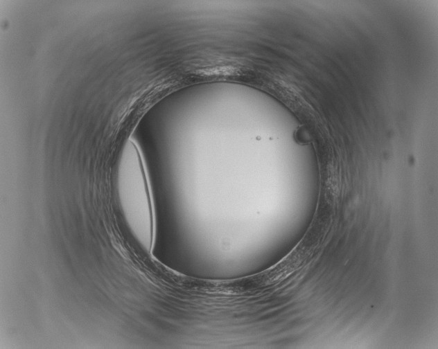 X0000054450547200507290954