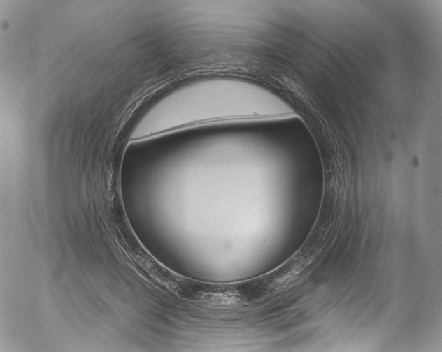 X0000054450548200507290954