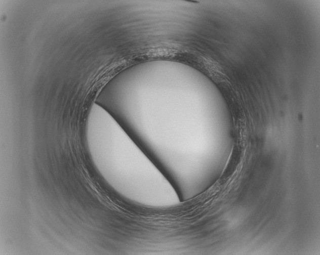 X0000054450550200507290954