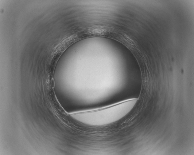 X0000054450552200507290954