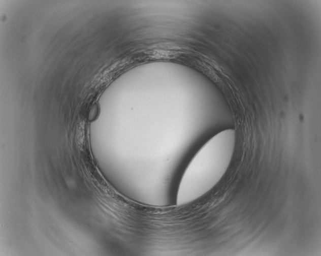 X0000054450554200507290954