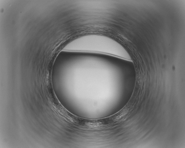 X0000054450556200507290954