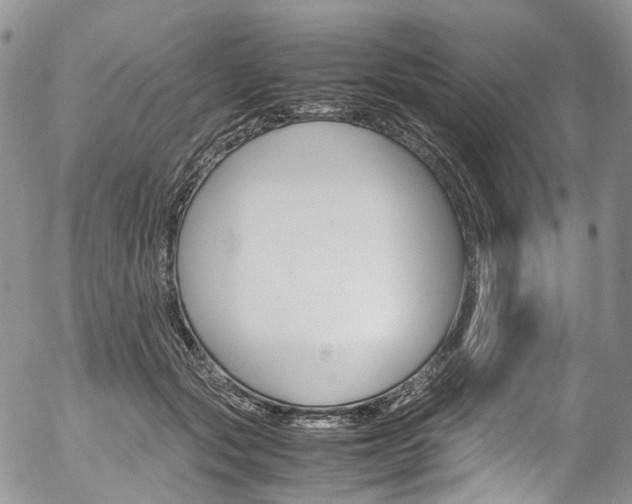 X0000054450557200507290954