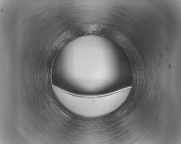 X0000054450558200507290954