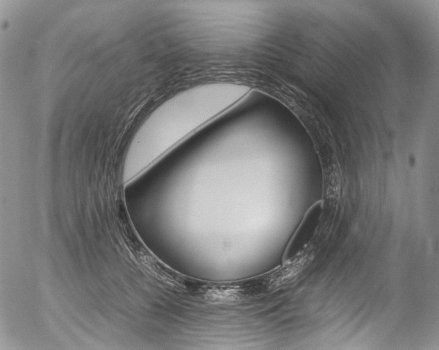 X0000054450560200507290954
