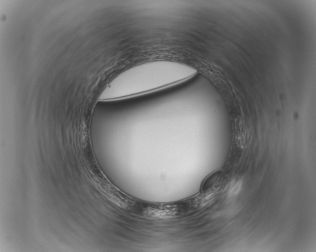 X0000054450563200507290954