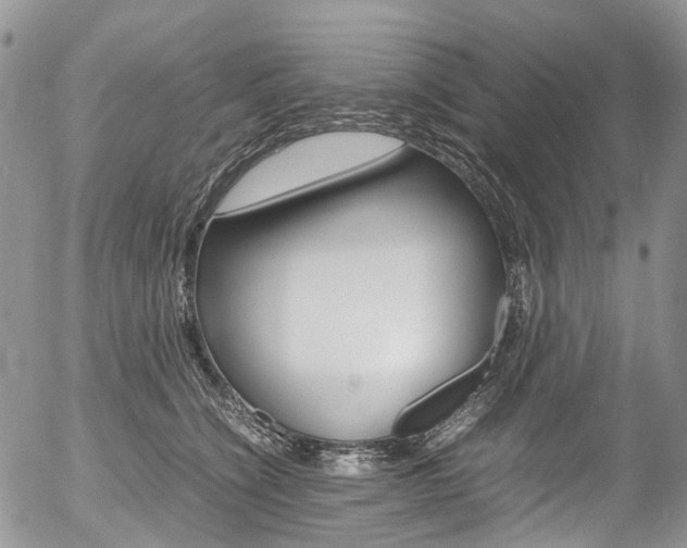 X0000054450564200507290954