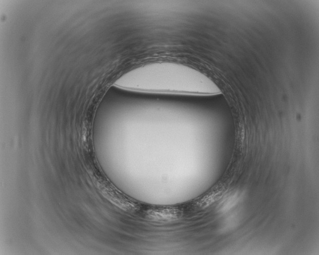 X0000054450567200507290954