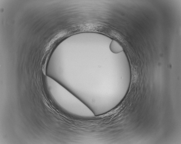X0000054450583200507290953