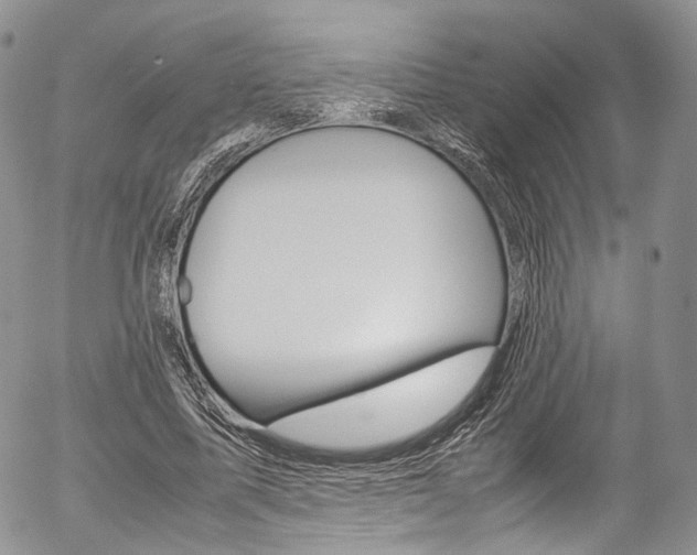 X0000054450587200507290953
