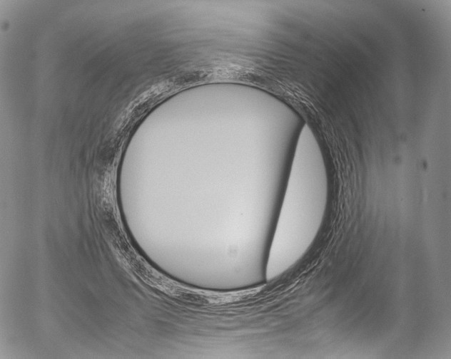 X0000054450591200507290953