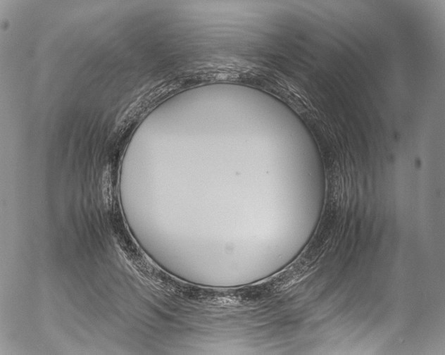 X0000054450594200507290953