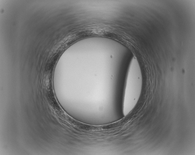X0000054450595200507290953
