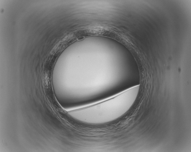 X0000054450597200507290953