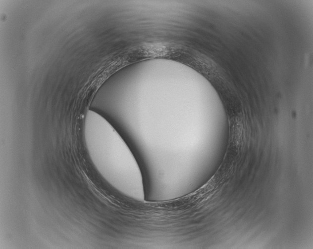 X0000054450598200507290953