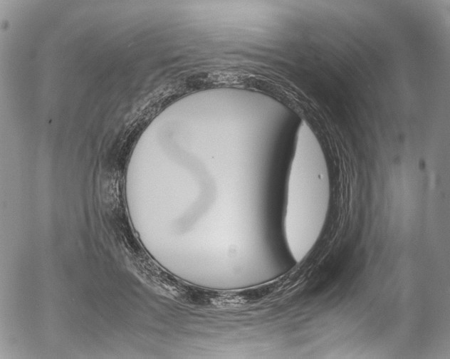 X0000054450603200507290953