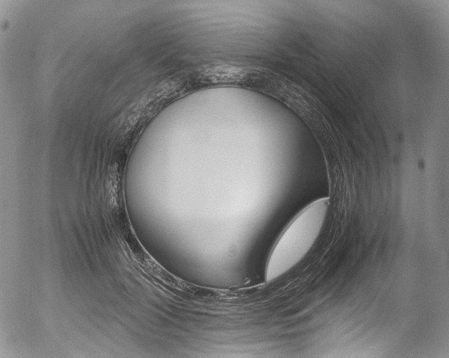 X0000054450604200507290953