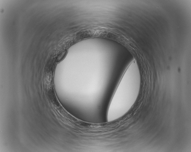 X0000054450605200507290953