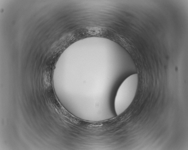 X0000054450606200507290953