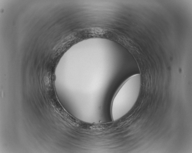 X0000054450608200507290953