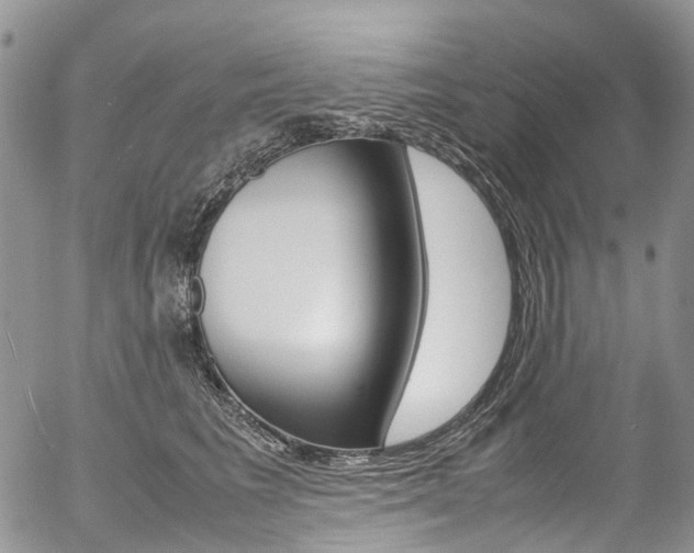 X0000054450613200507290953