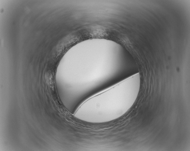 X0000054450619200507290953