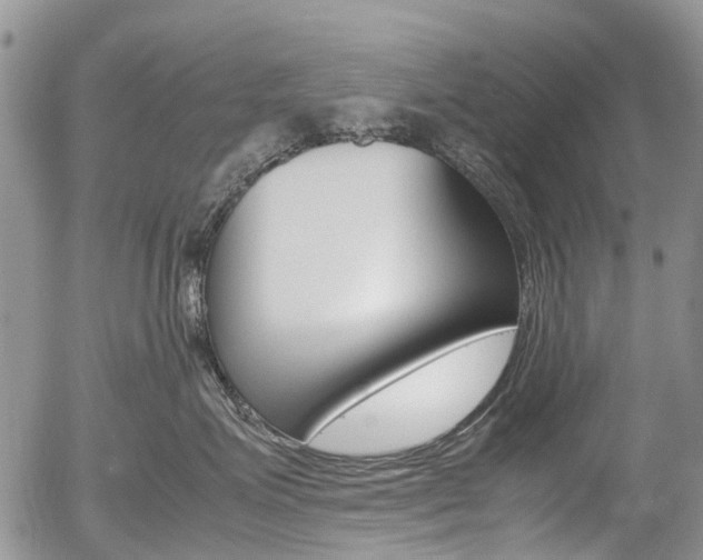 X0000054450623200507290953