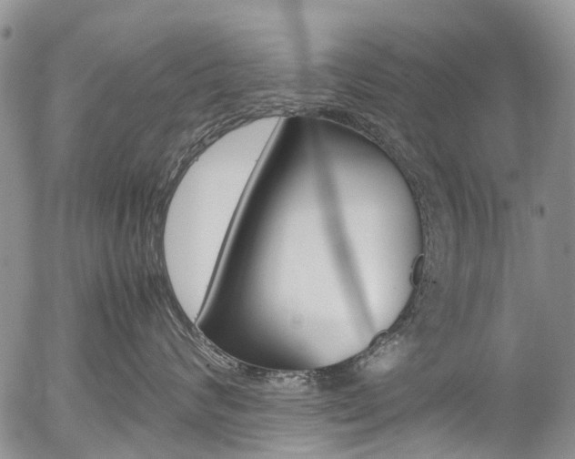 X0000054450624200507290953
