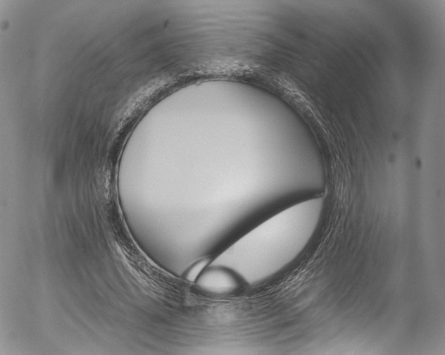 X0000054450636200507290952