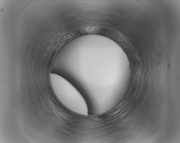 X0000054450651200507290952