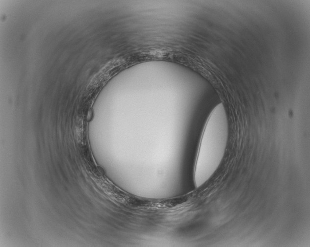 X0000054450656200507290952