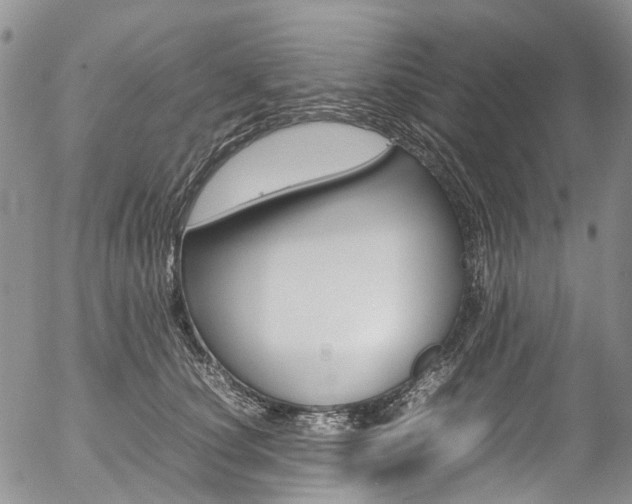 X0000054450660200507290953