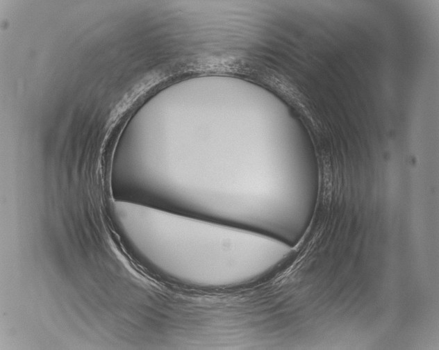 X0000054450674200507290952