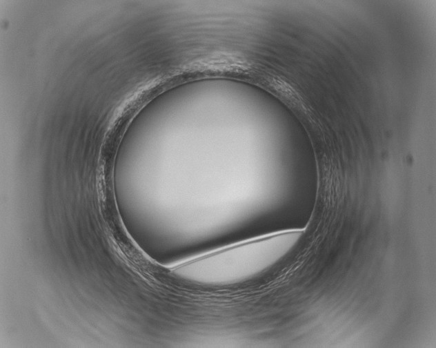 X0000054450680200507290952
