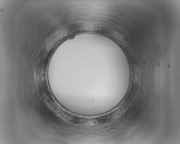 X0000054450683200507290952