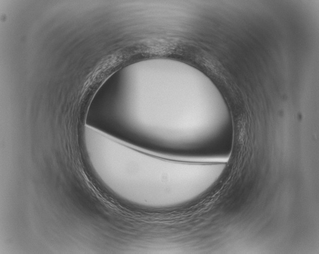 X0000054450685200507290952