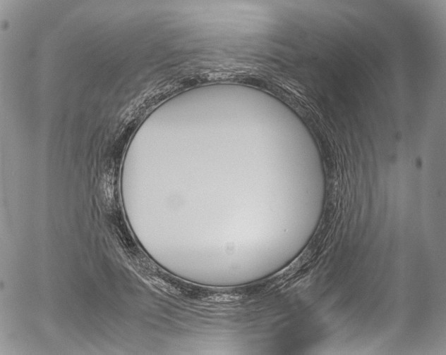 X0000054450691200507290952